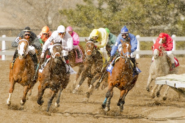 Horse racing